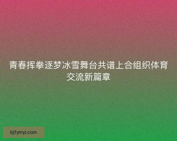 青春挥拳逐梦冰雪舞台共谱上合组织体育交流新篇章